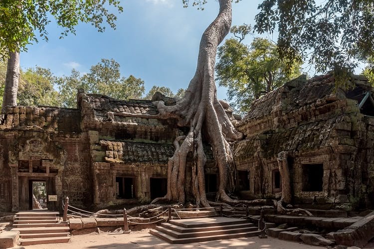 Ta Prohm Temple - Camboja